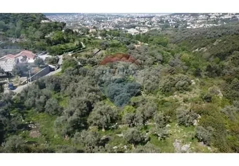 Sale, land lot, 1546m², Bartula, Bar - image 6