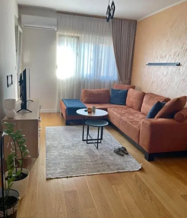 Izdavanje, jednosoban stan, 50m², Central Point, Podgorica