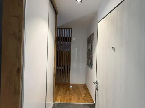Izdavanje, dvosoban stan, 56m², Vračar Sve Podlokacije, Beograd - image 15