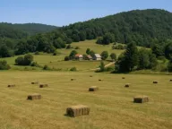 Sale, land lot, 90000m², Pljevlja, Crna Gora - image 3