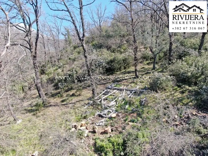 Prodaja, plac, 1109m², Zelenika, Herceg Novi
