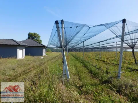 Sale, land lot, 350m², Kragujevac, Srbija - image 5