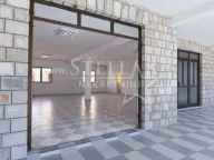 Izdavanje, poslovni prostor, 250m², Zabjelo, Podgorica - image 1