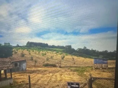 Sale, land lot, 17800m², Jasenak, Obrenovac - image 4