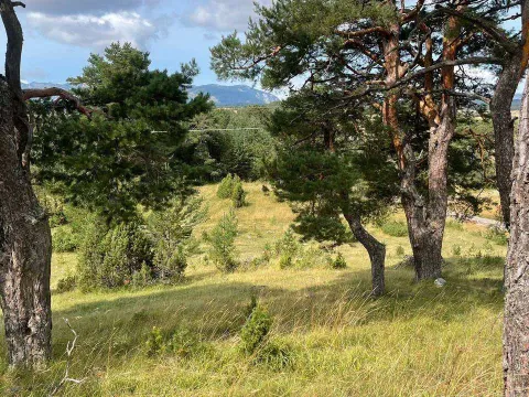 Prodaja, plac, 12000m², Žabljak, Crna Gora - image 3