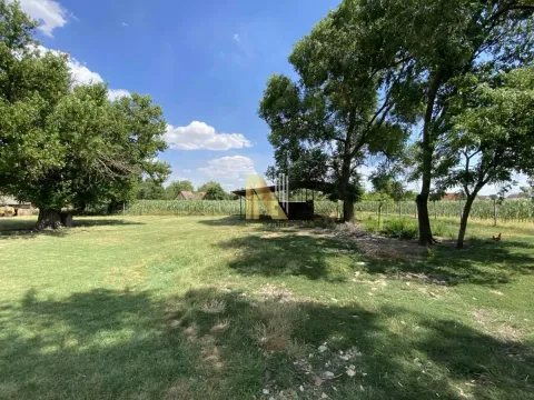 Prodaja, kuća, 301m², Bečej, Novi Sad - image 2