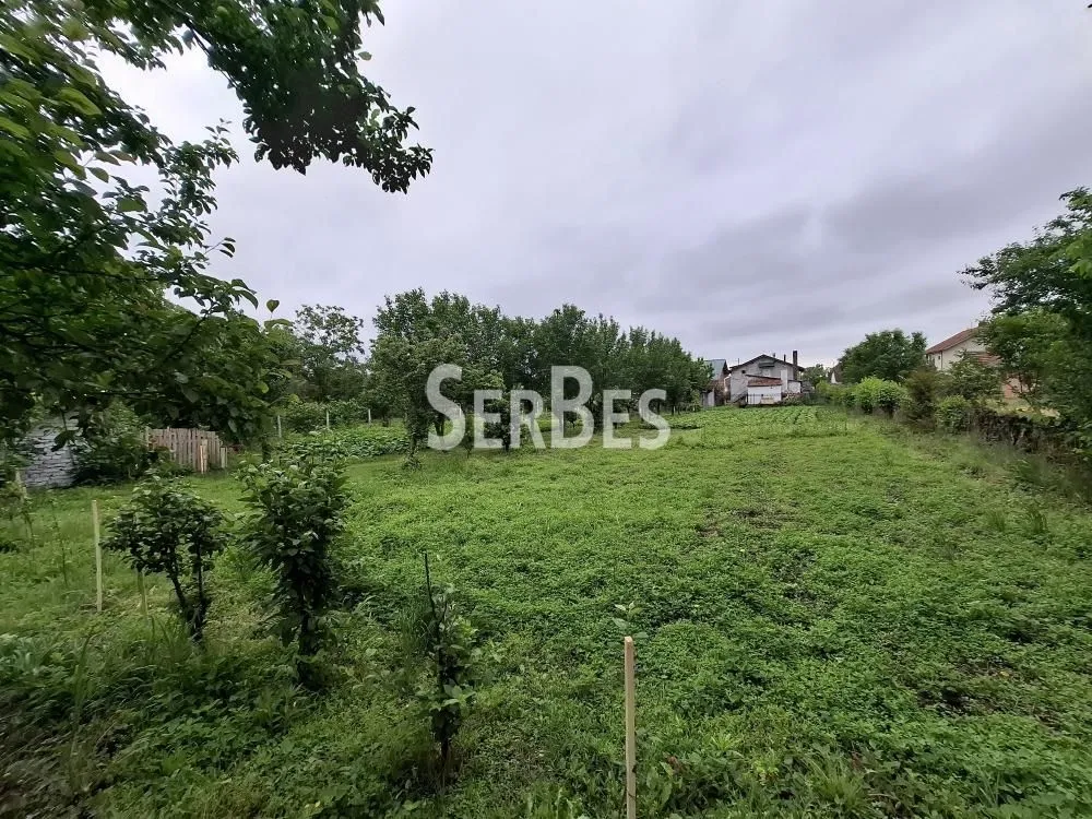 Sale, house, 357m², Kovilj, Novi Sad Sve Podlokacije