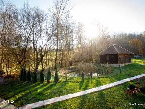 Sale, office space, 230m², Topola, Srbija - image 6