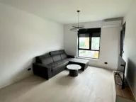 Izdavanje, jednosoban stan, 44m², Krivi Most, Podgorica - image 8