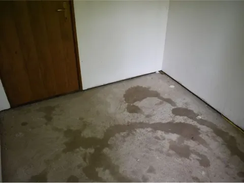 Prodaja, kuća, 202m², Palilula, Niš - image 26