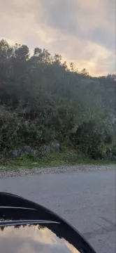 Pogled na prirodno okruženje i šumu pored puta. - image 8