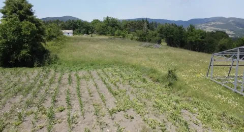 Prodaja, plac, 800m², Rosići, Kosjerić - image 6