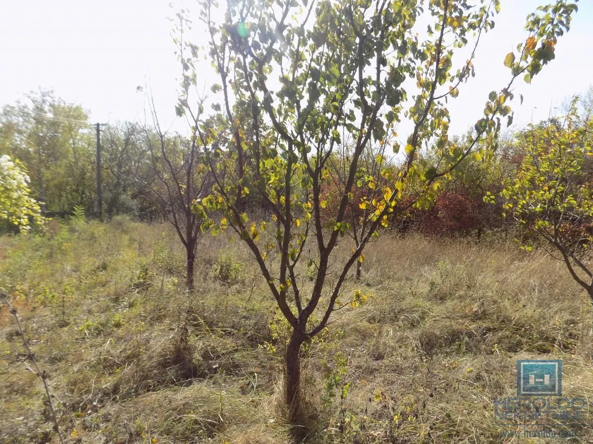 Sale, house, 32m², Paraćin, Srbija