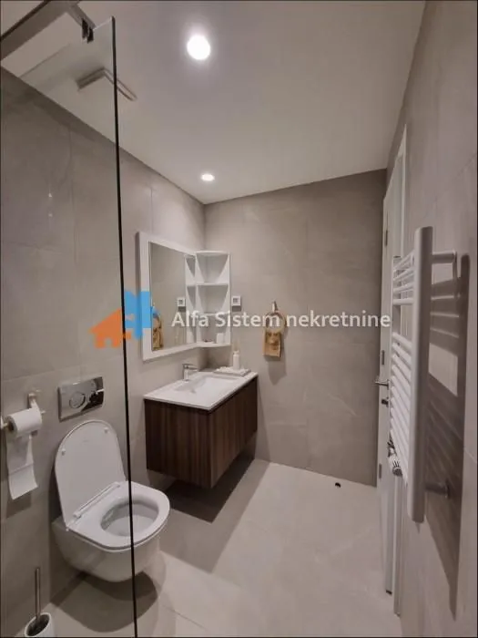 Modern bathroom with a shower enclosure, washbasin, and toilet.