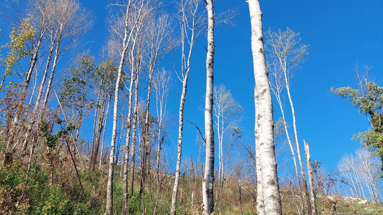 Prodaja, plac, 480000m², Nikšić, Crna Gora