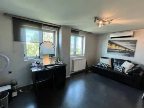 Rent, five bedroom apartment, 85m², Botanička Bašta, Palilula Sve Podlokacije - image 4