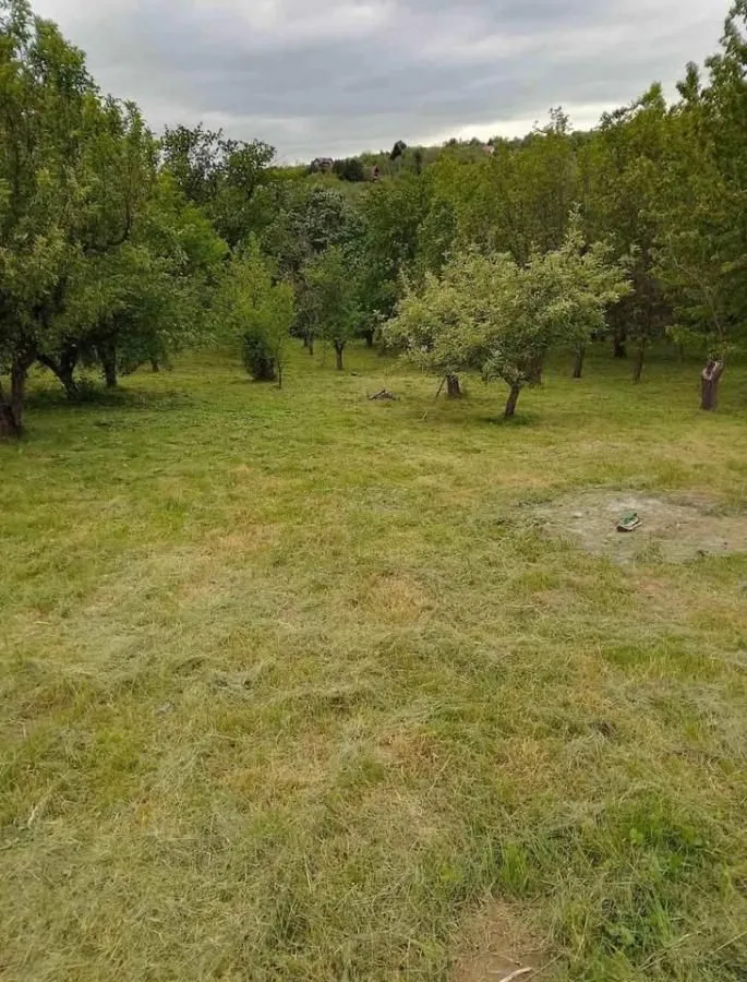 Prodaja, kuća, 24m², Čortanovci, Inđija