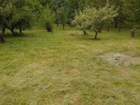 Prodaja, kuća, 24m², Čortanovci, Inđija - image 6