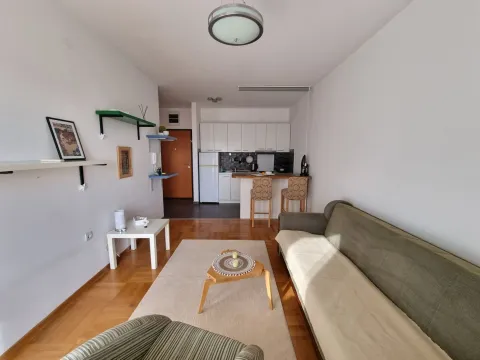 Rent, one bedroom apartment, 44m², Budva, Crna Gora - image 11