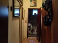 Prodaja, kuća, 210m², Novo Selo, Subotica - image 10