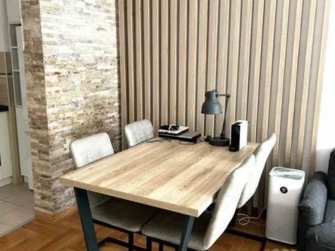 Rent, two bedroom apartment, 50m², Slavija, Vračar Sve Podlokacije - image 3