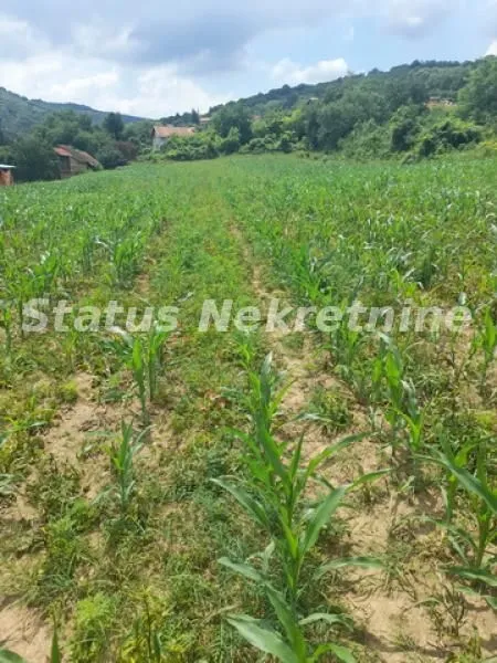 Prodaja, plac, 900m², Beočin, Srbija