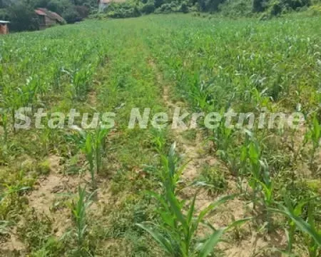 Sale, land lot, 900m², Beočin, Srbija - image 9