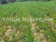 Prodaja, plac, 9m², Beočin, Srbija - image 9