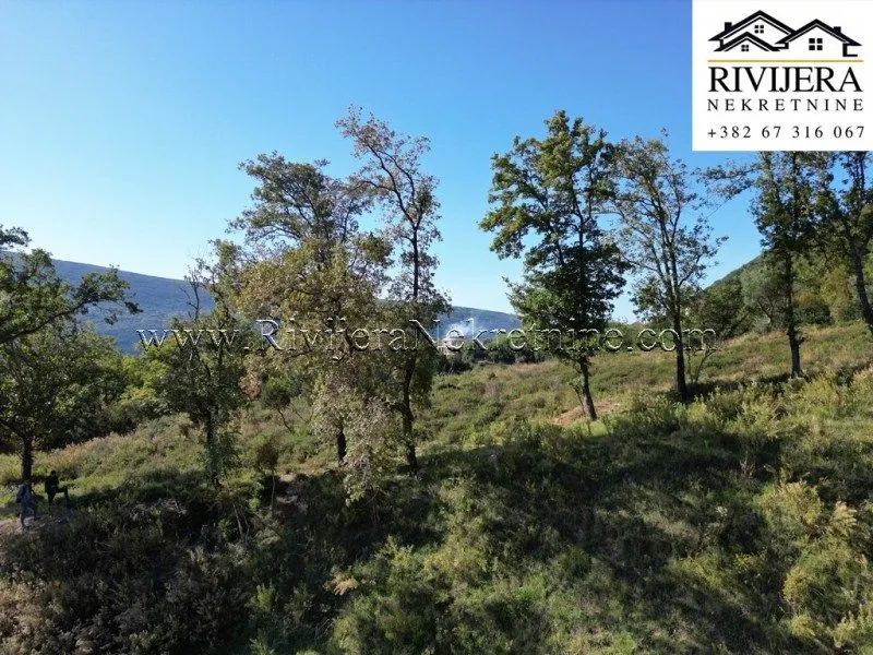 Prodaja, plac, 3000m², Đenovići, Herceg Novi