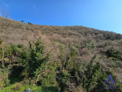 Prodaja, dvosoban stan, 75m², Petrovac, Budva - image 8