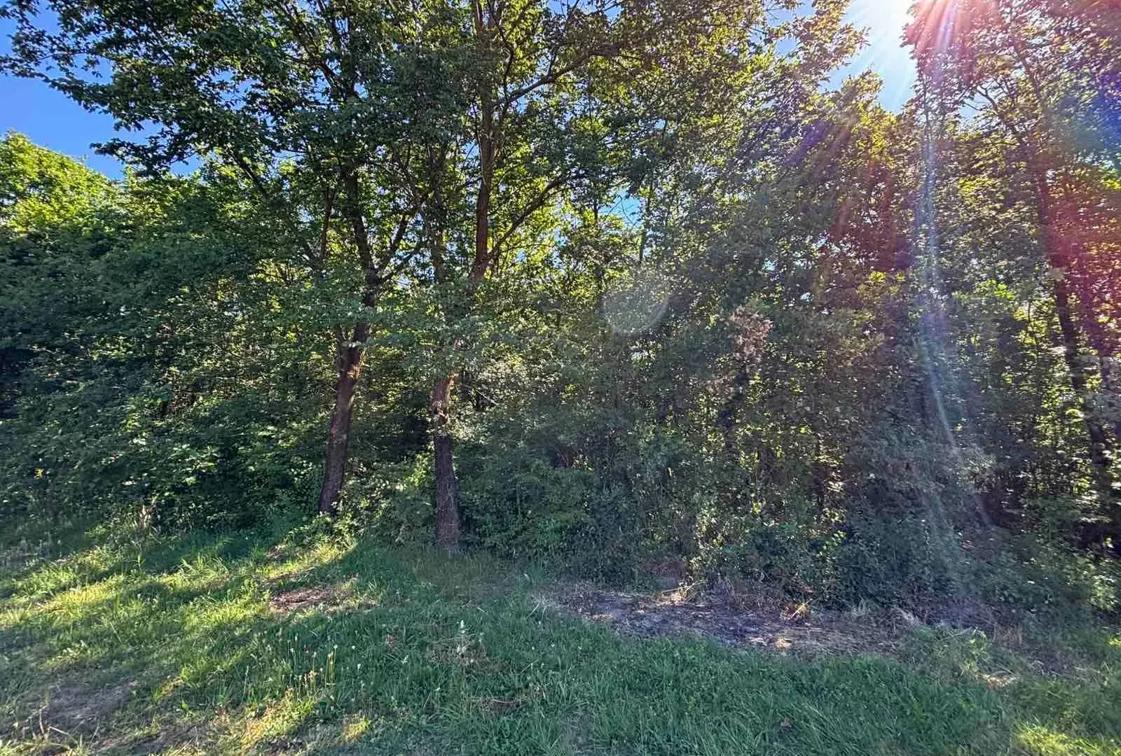 Prodaja, plac, 2386m², Kosić, Danilovgrad