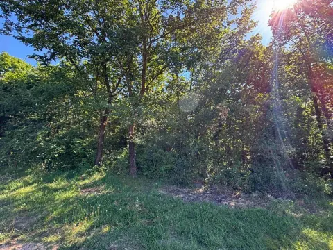 Prodaja, plac, 2386m², Kosić, Danilovgrad - image 4