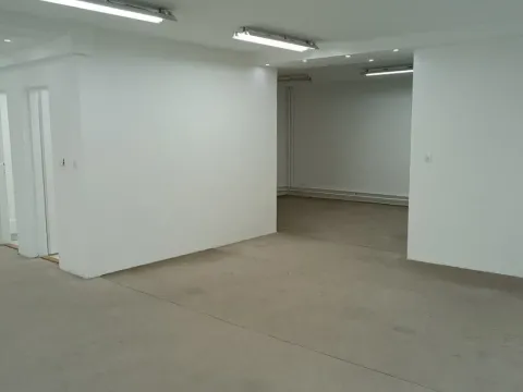 Izdavanje, poslovni prostor, 120m², Vračar Centar, Vračar Sve Podlokacije - image 3