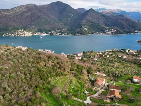 Prodaja, plac, 750m², Herceg Novi, Crna Gora - image 5