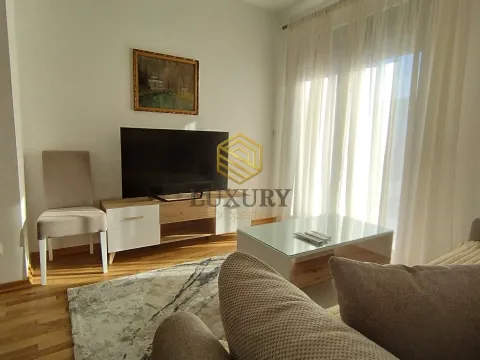 Rent, one bedroom apartment, 40m², Zabjelo, Podgorica - image 3