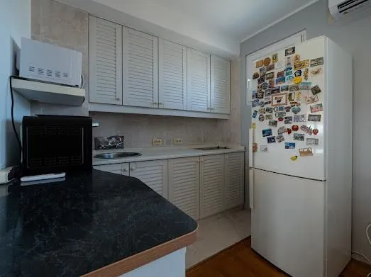 Rent, three bedroom apartment, 65m², Vračar Hram, Vračar Sve Podlokacije