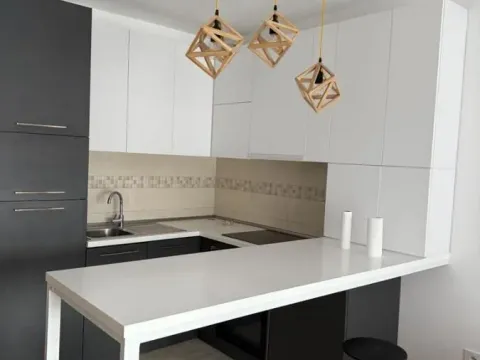 Rent, one bedroom apartment, 47m², Bulevar Oslobodjenja, Novi Sad Sve Podlokacije - image 7