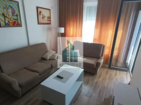 Rent, one bedroom apartment, 51m², Pantelej, Niš - image 2