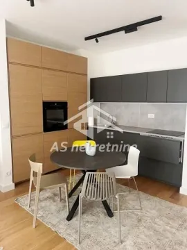 Izdavanje, dvosoban stan, 52m², Vračar Sve Podlokacije, Beograd - image 4