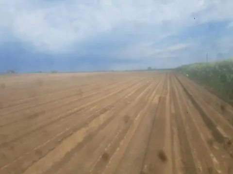 Prodaja, plac, 27500m², Futog, Novi Sad Sve Podlokacije - image 2