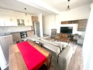 Izdavanje, jednosoban stan, 50m², Stari Aerodrom, Podgorica - image 9