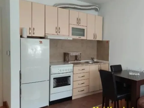 Rent, one bedroom apartment, 30m², Cvetanova Ćuprija, Zvezdara Sve Podlokacije - image 4