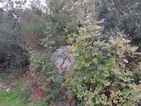 Sale, land lot, 220m², Ratac, Bar - image 4