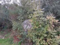 Prodaja, plac, 220m², Ratac, Bar - image 4