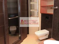 Izdavanje, stan, 197m², Vukov Spomenik, Zvezdara Sve Podlokacije - image 9