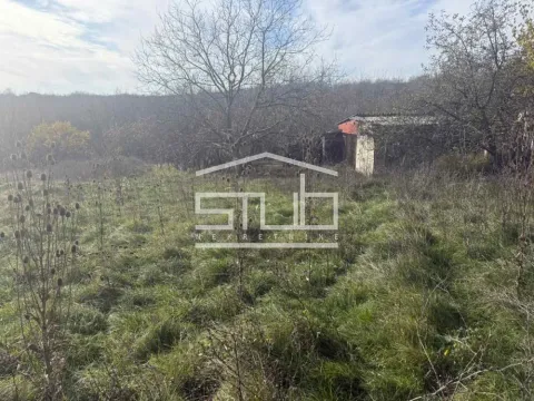 Prodaja, plac, 3600m², Kosmaj, Sopot - image 5