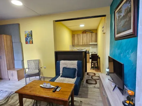 Izdavanje, jednosoban stan, 30m², Zabjelo, Podgorica - image 5