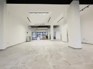 Izdavanje, poslovni prostor, 117m², Zabjelo, Podgorica - image 1