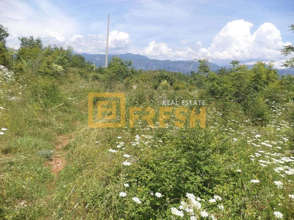 Prodaja, plac, 1200m², Danilovgrad, Crna Gora