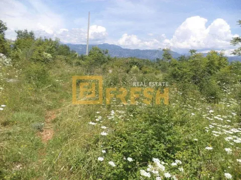 Prodaja, plac, 1200m², Danilovgrad, Crna Gora - image 4